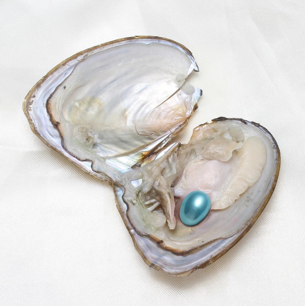 50PCS Freshwater Near Round Oyster Pearl with Pearls Inside Random 7-8mm DIY