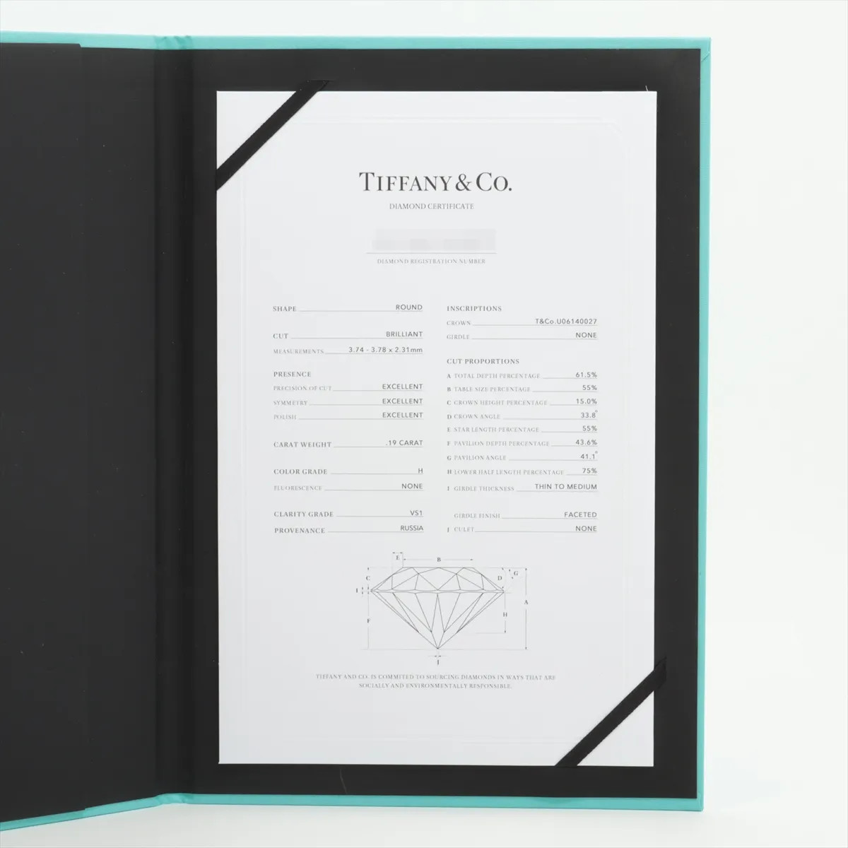 Tiffany By the Yard 1P diamond Necklace 750(YG) 1.9g 0.19 H VS1 3EX NONE