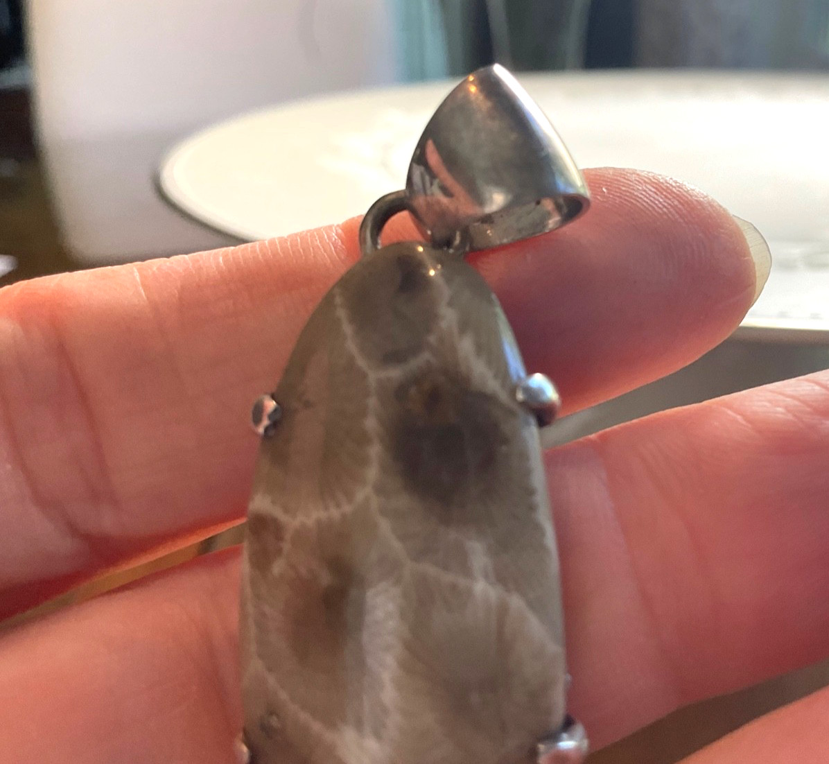 Unbranded One Size Pendant 925 Sterling Silver Petoskey Stone Coral Fossil