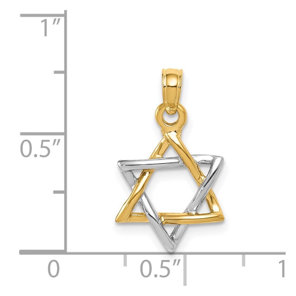 14K Yellow & White Gold Polished Star Of David Pendant