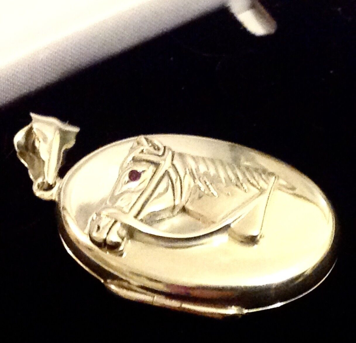 Sterling silver animal ruby horse pony memory photo oval locket & Chain Necklace