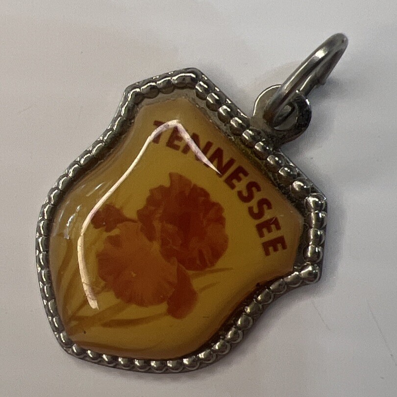 925 Sterling Silver Retro Pendant TENNESSEE Resin Shield Crest Souvenir Iris