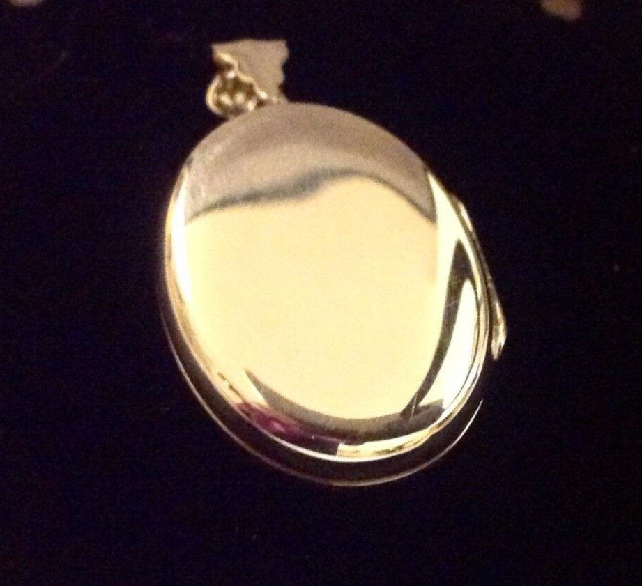 Sterling silver animal ruby horse pony memory photo oval locket & Chain Necklace