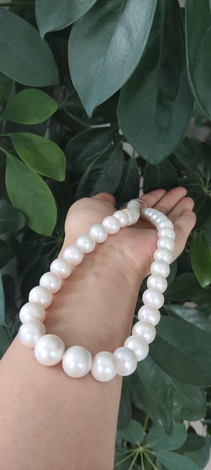 AAAAA 12-13 MM GENUINE NATURAL Australian south sea white pearl necklace 18″14k