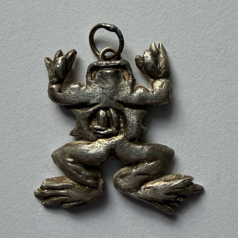 Handmade Sculpted Art Clay Silver Dissected Frog Specimen Pendant Charm
