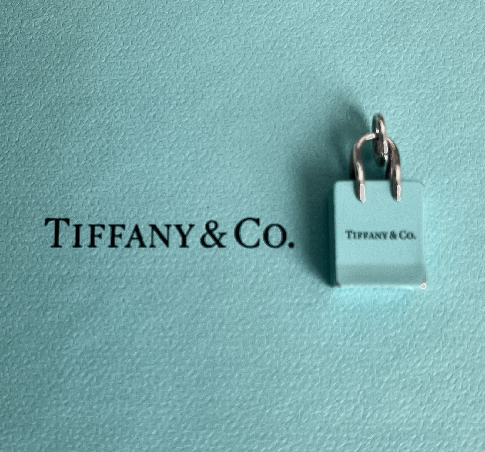 Tiffany & Co. Enamel Shopping Bag Charm