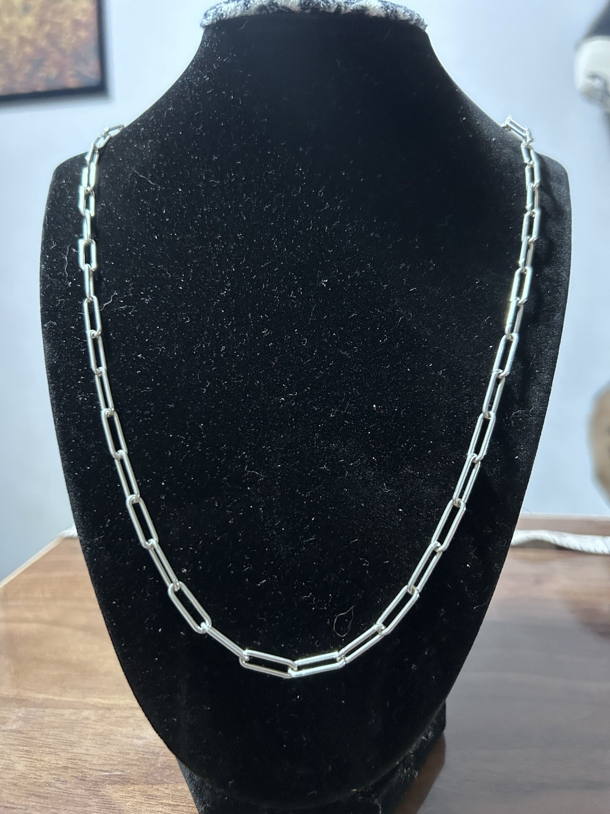 Paper Clip Necklace