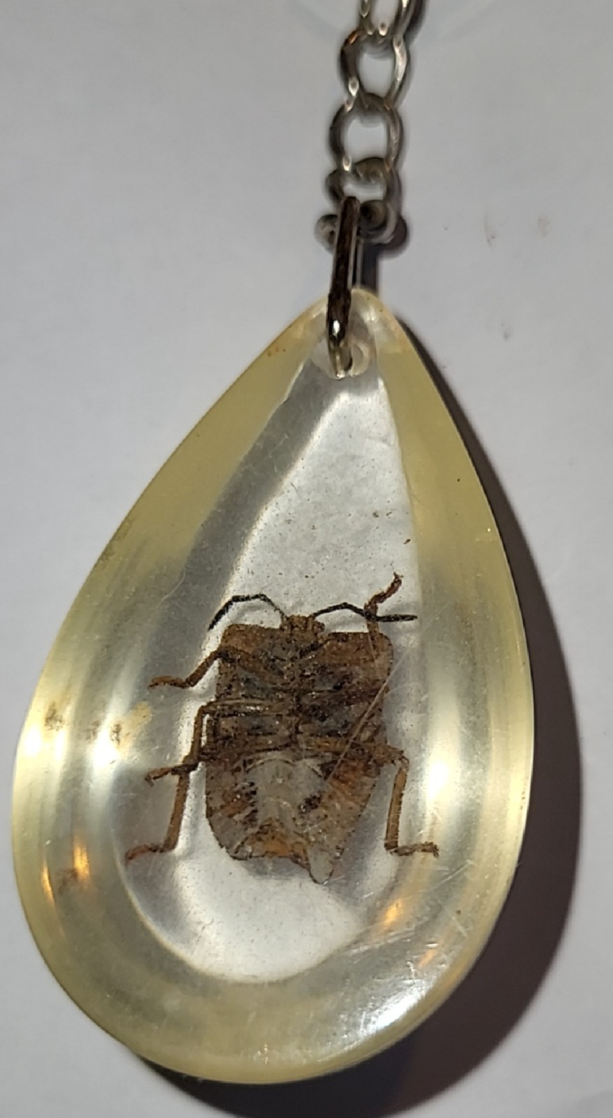 Real Shield Bug Resin Pendant, Teardrop Insect Specimen Keychain t15-1