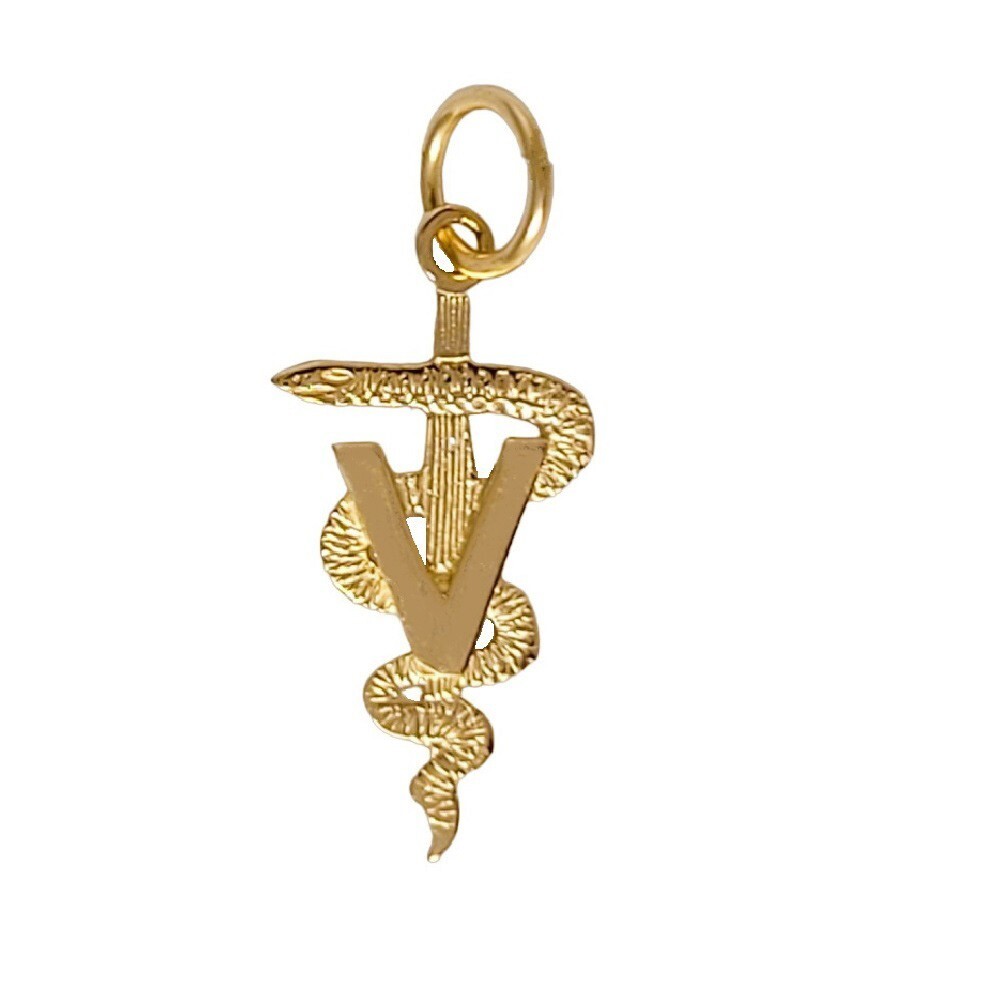 14k Yellow Gold Veterinary Caduceus Medical Symbol Charm / Pendant, Made in USA