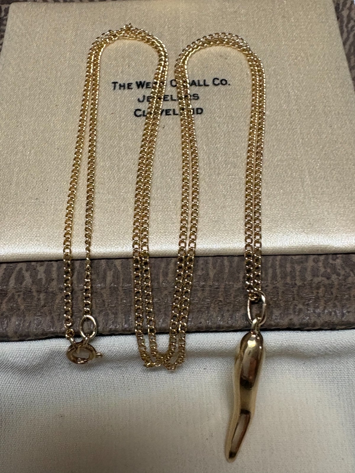 LADIES VINTAGE 14K GOLD ITALIAN HORN PENDANT NECKLACE 14K CURB LINK CHAIN 21 in.