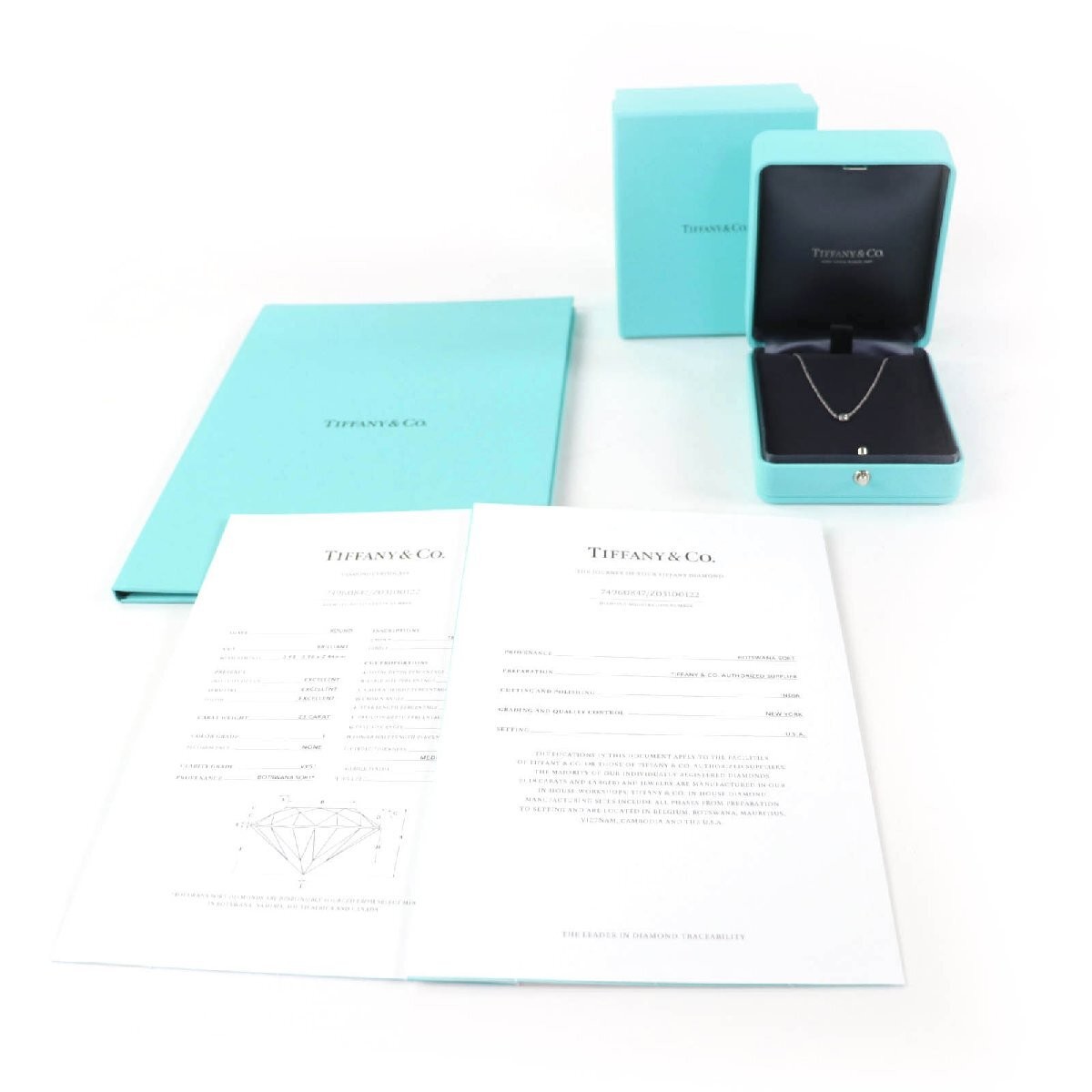 Tiffany & Co. Elsa Peretti By The Yard PT950 0.23ct I VVS1 3EX NONE 1PD Necklace