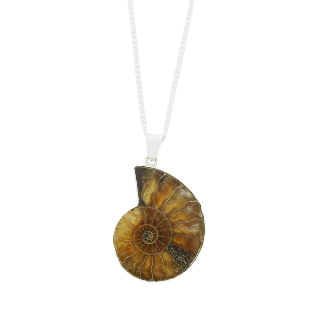 Ammonite Oval Shape Pendant & Chain Sterling Silver DM015