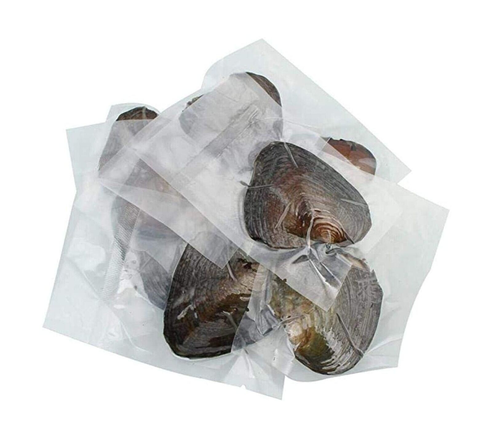 50PCS Akoya Oysters Natural Real Pearl Freshwater Pearl Gfit 7-8mm Vacuum Pack