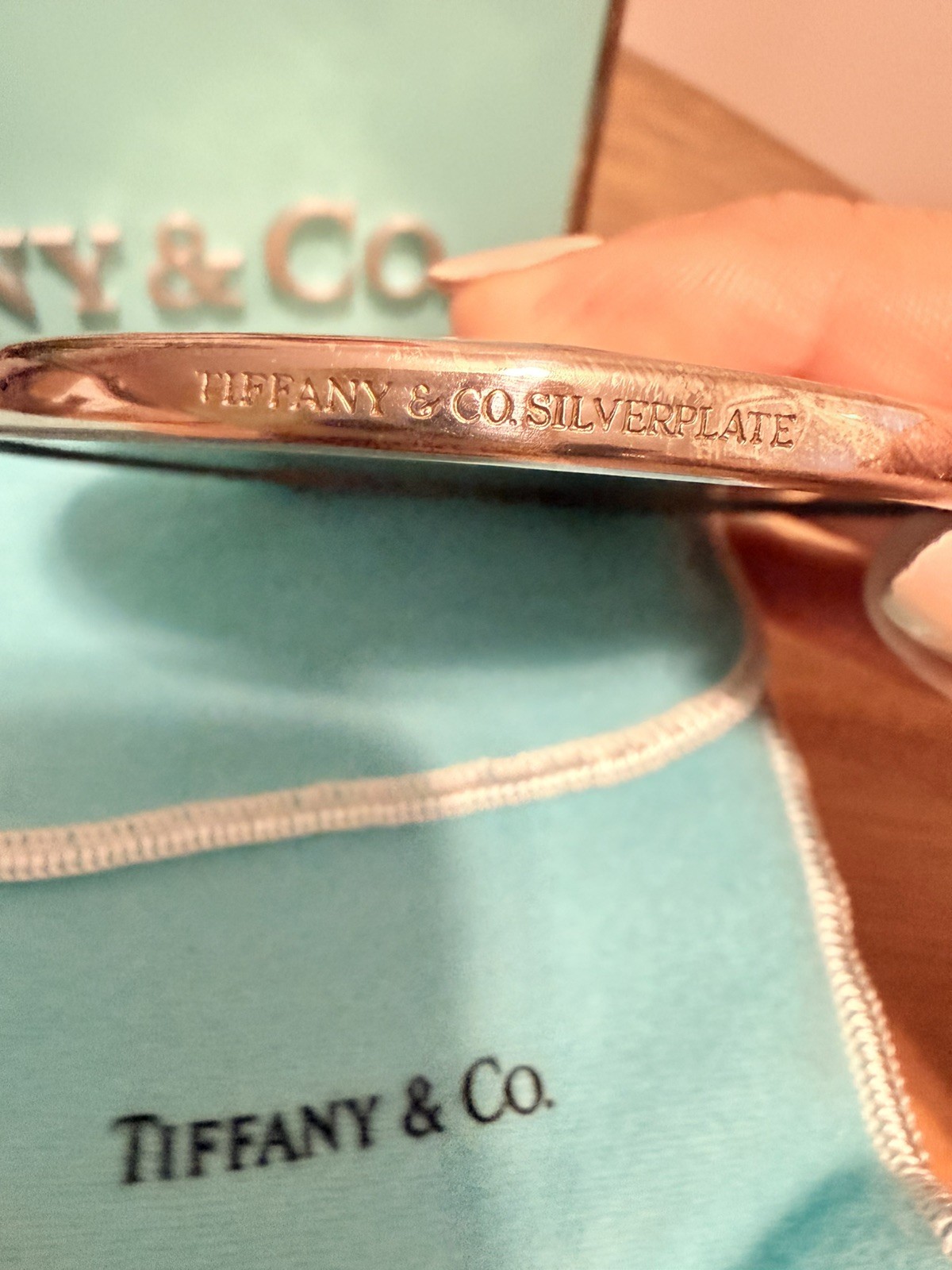 Tiffany & Co. Leaf Compact Mirror Silver Plate w/ Pouch Vintage Makeup Mirror