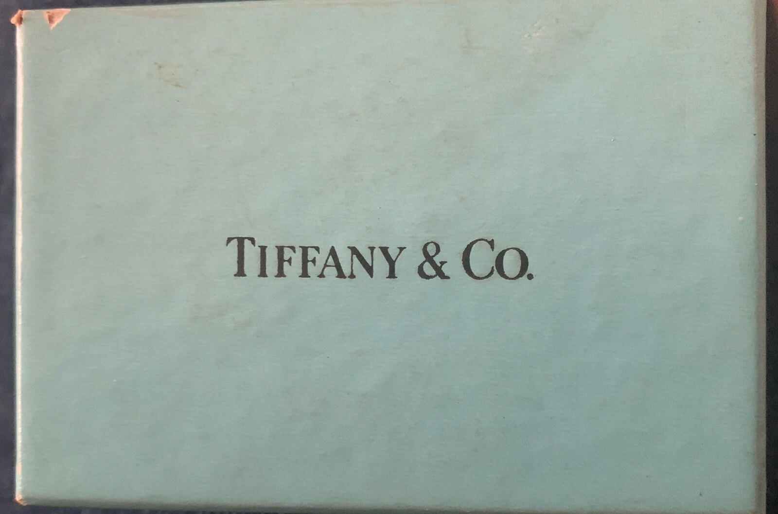 Tiffany & Company Manpower Pendant & Generic Sterling Chain
