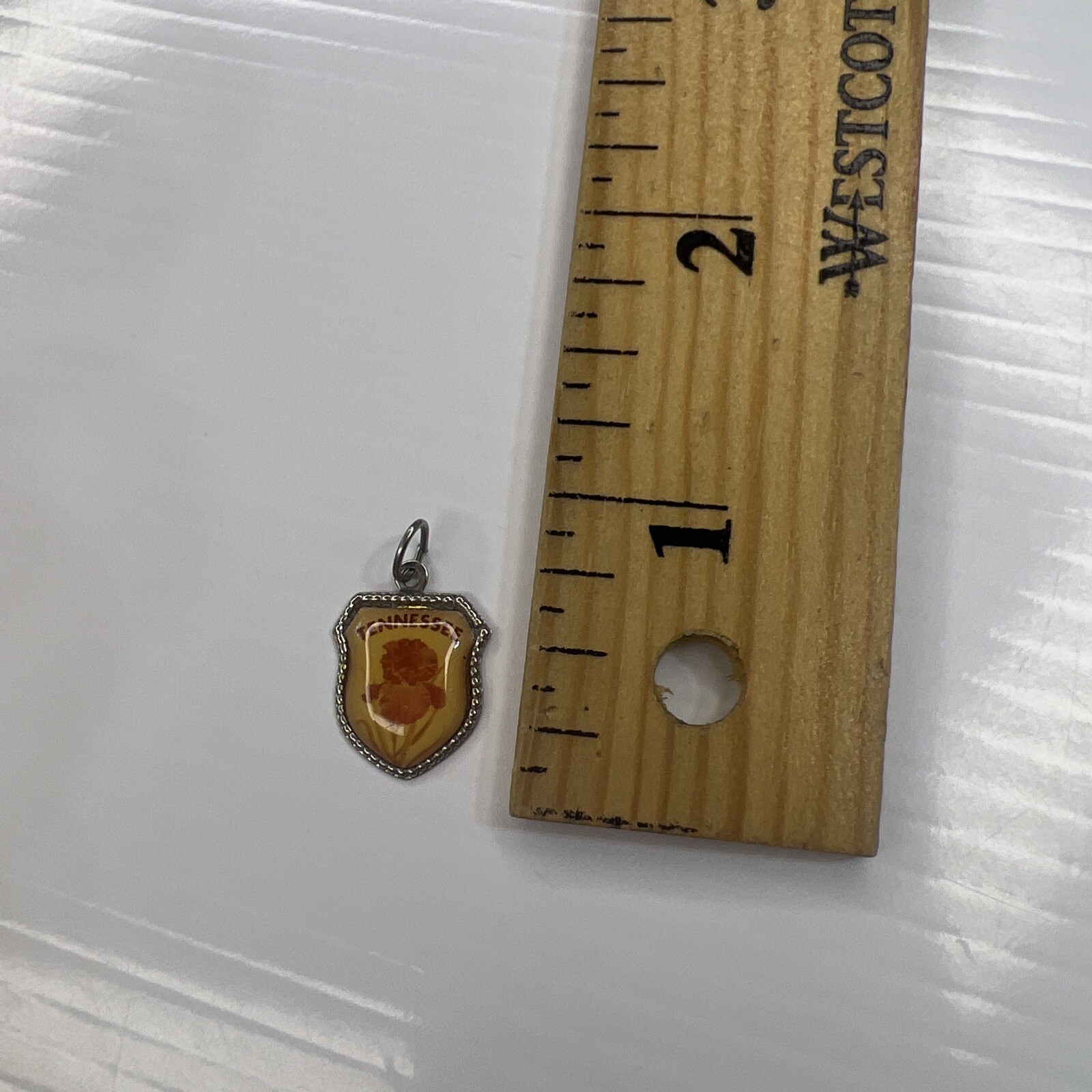 925 Sterling Silver Retro Pendant TENNESSEE Resin Shield Crest Souvenir Iris