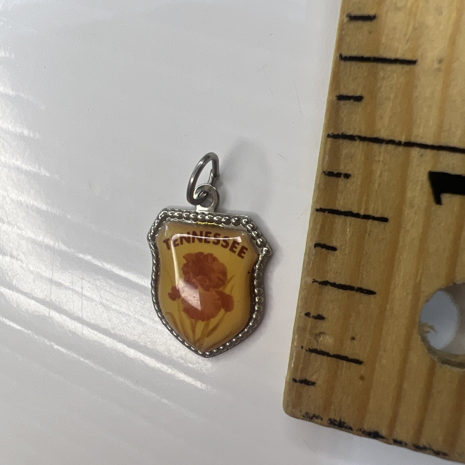 925 Sterling Silver Retro Pendant TENNESSEE Resin Shield Crest Souvenir Iris
