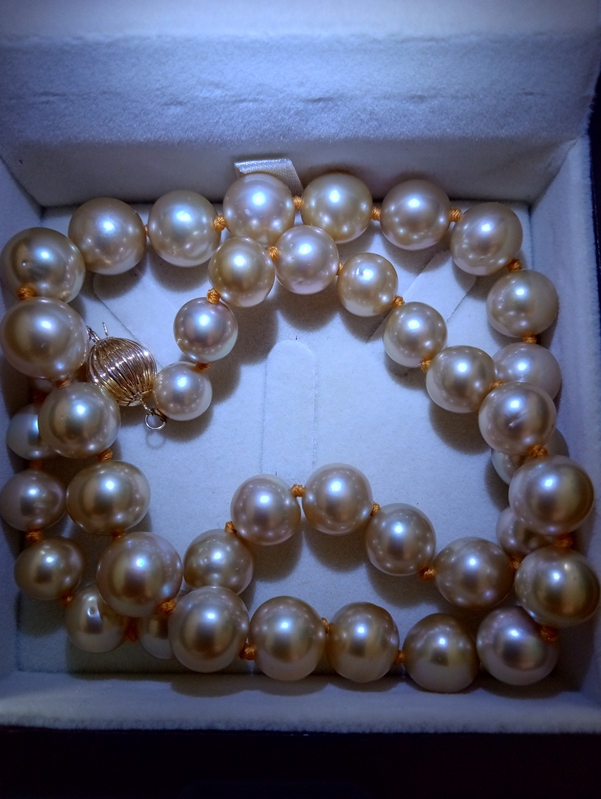 Iliana South Sea Golden Pearl Necklace 18k Yellow Gold 18″ Round Natural 200cts