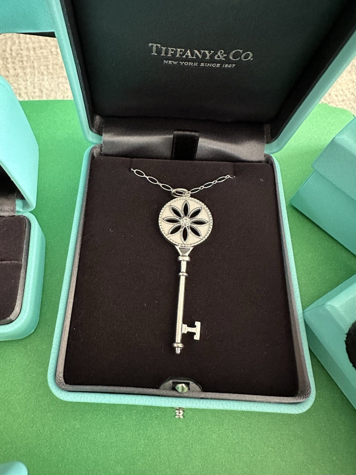 Tiffany & Co. 18K White Gold Diamond Daisy Key Necklace AU750 Retired