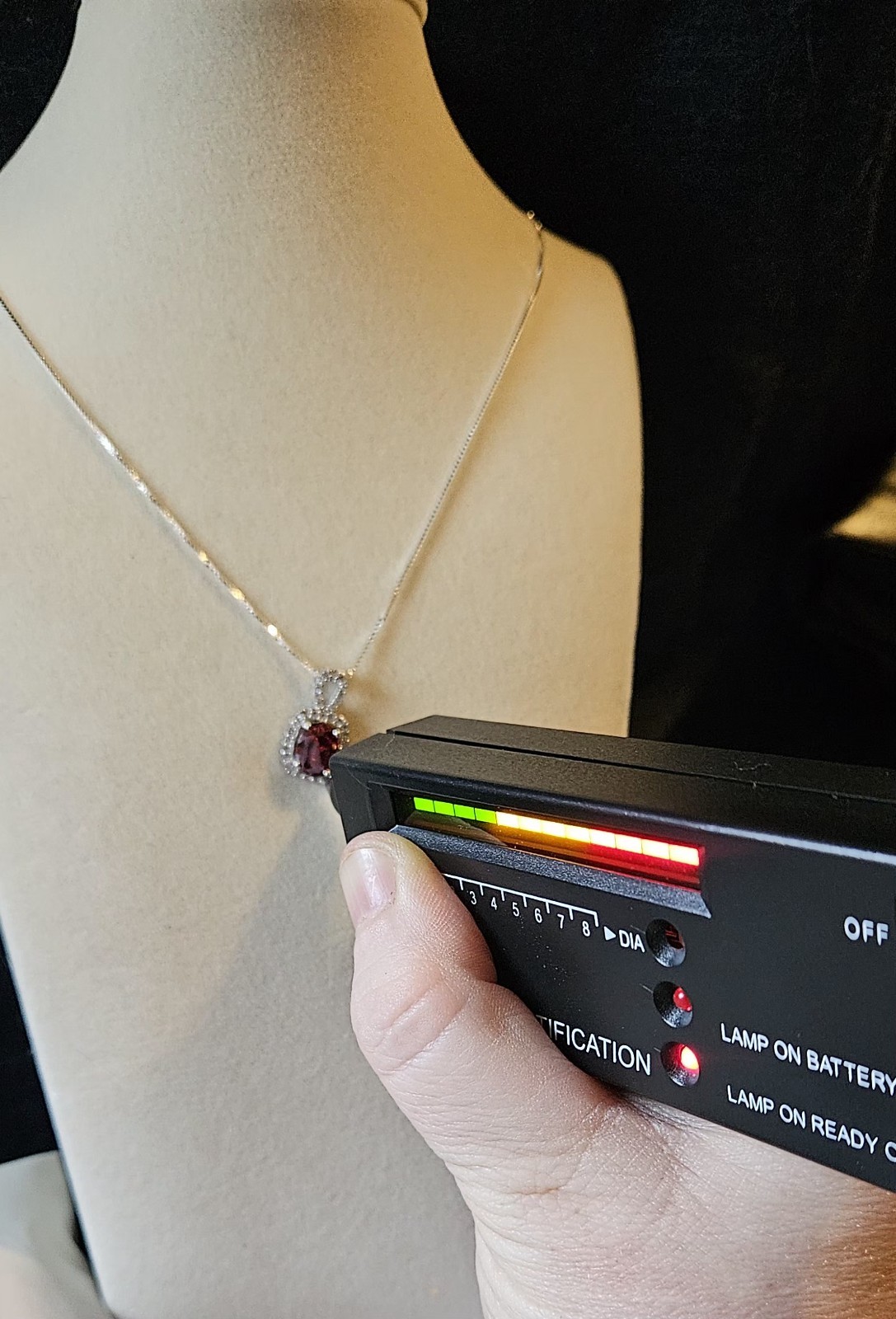 925 Sterling Silver Garnet with Moissanite Halo and 925 Italian Silver Box Chain