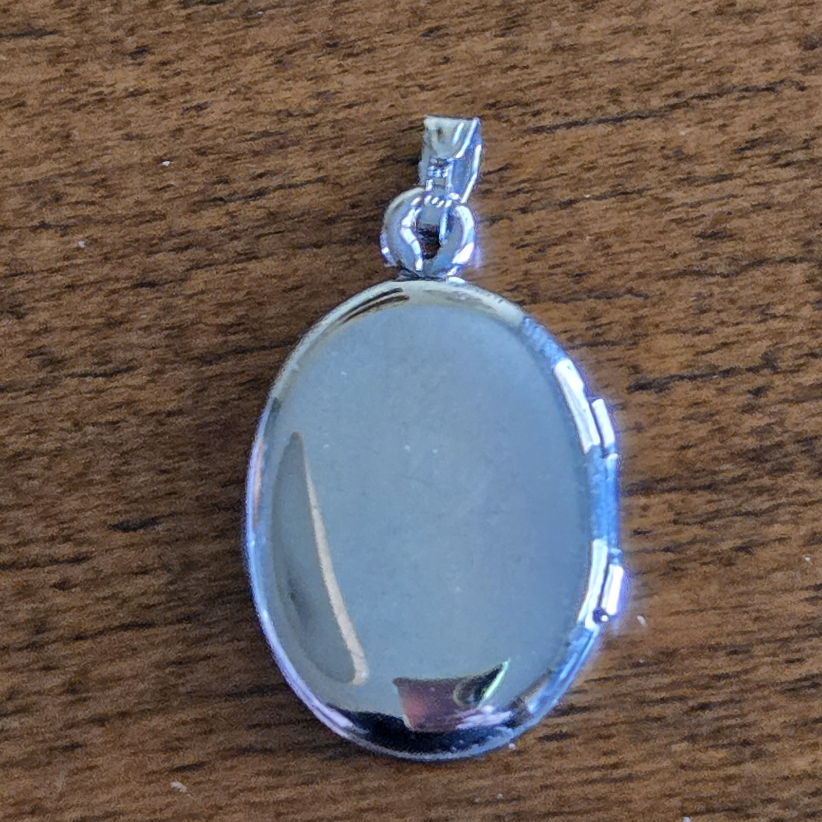 Sterling Silver Forever in my Heart Pink Rose Photo Locket Pendant Rememberance