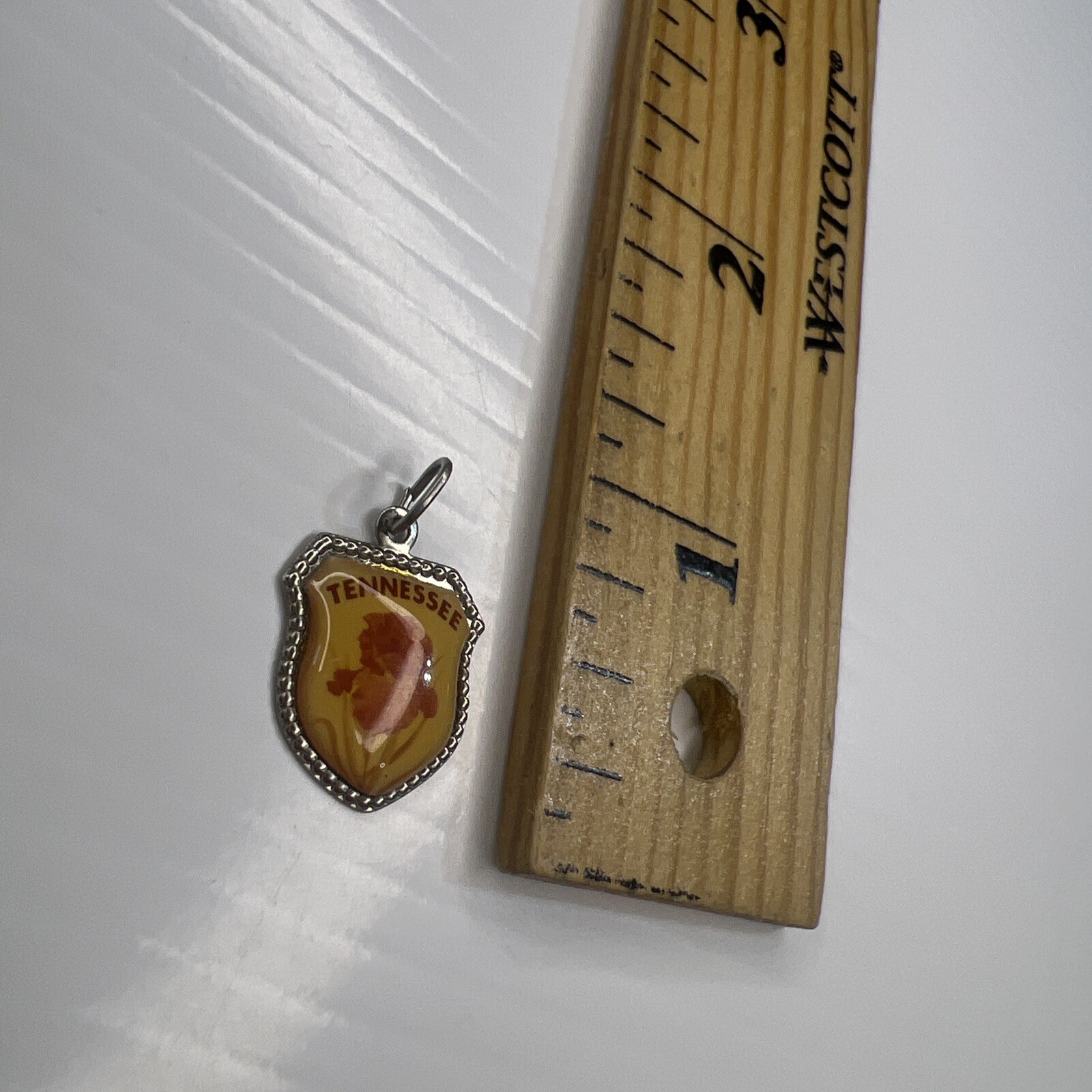 925 Sterling Silver Retro Pendant TENNESSEE Resin Shield Crest Souvenir Iris