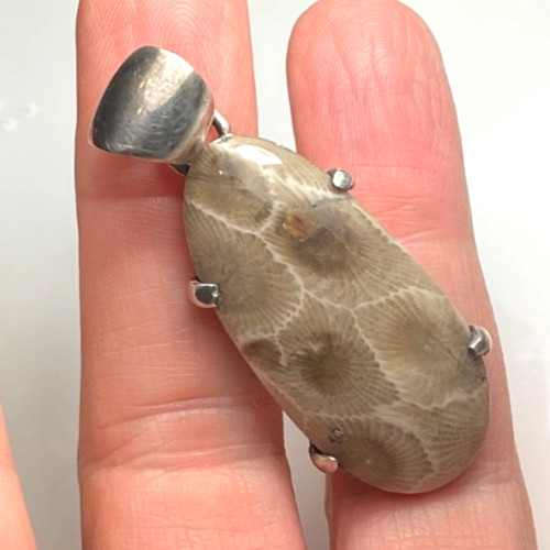 Unbranded One Size Pendant 925 Sterling Silver Petoskey Stone Coral Fossil