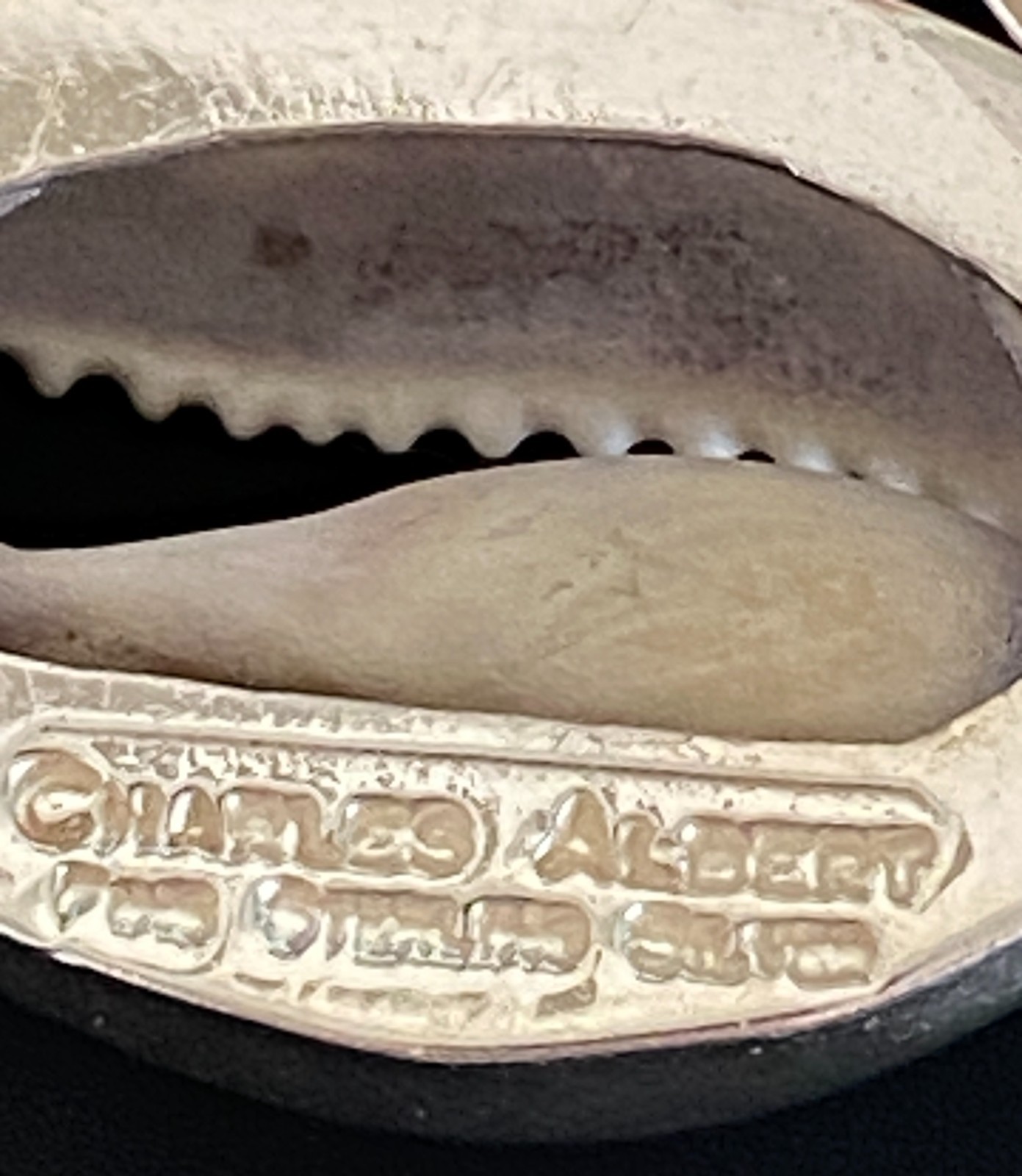 Charles Albert Pendant Sterling Silver Cinnerus Olive Cowry Shell Seashell Beach