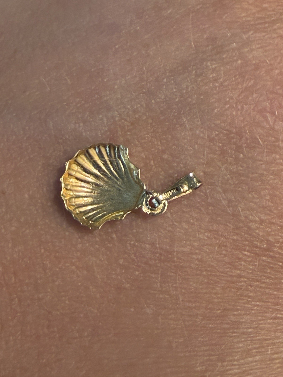 14K Yellow Gold Shell Charm Pendant, Beach Nature Theme, No Stone