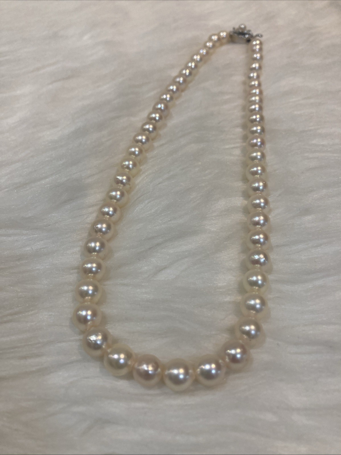 A01 Japanese Akoya Pearl Necklace 7.5-8mm 43cm Silver Clasp White Pearl