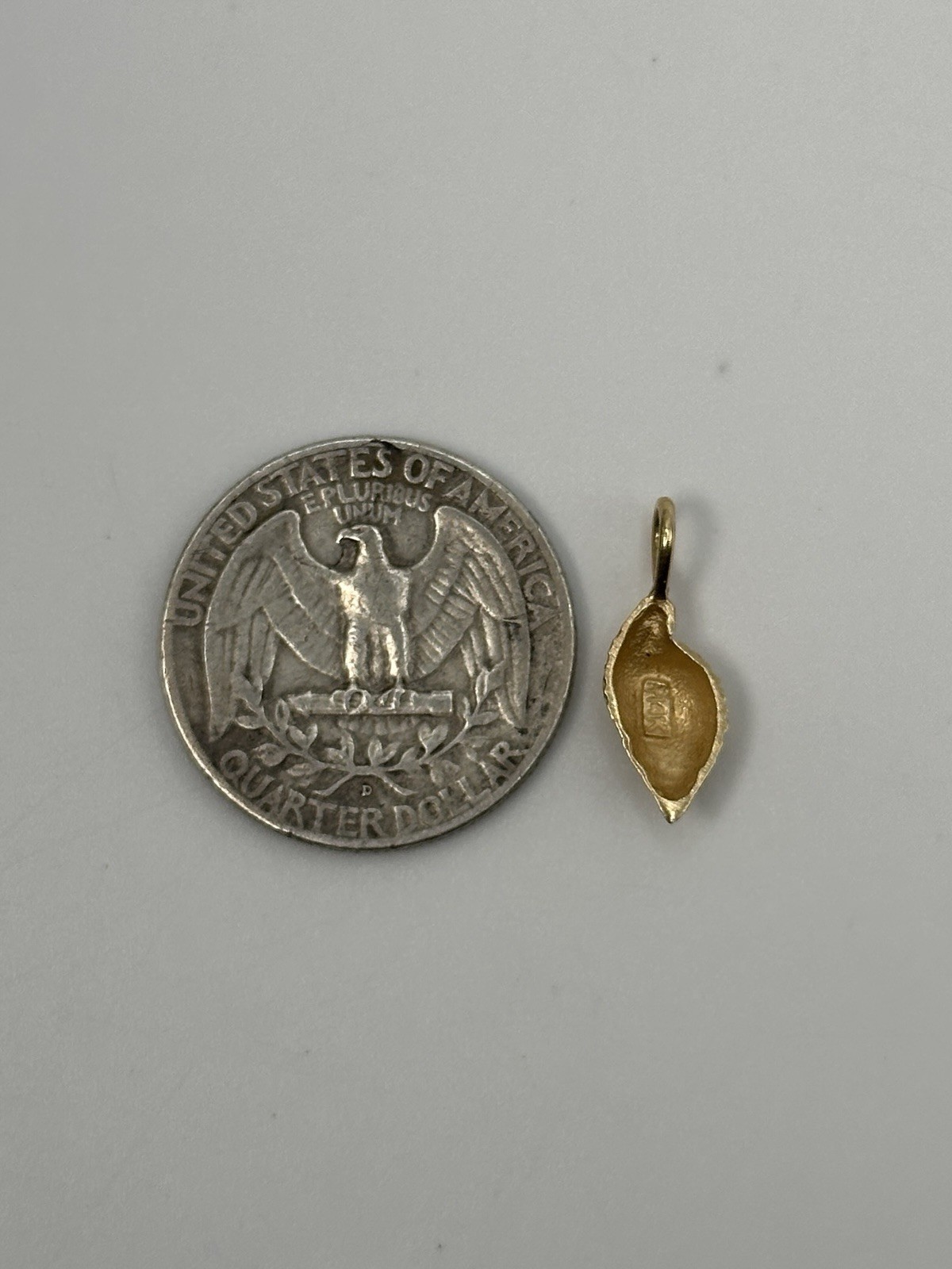 14K Yellow Gold Textured Seashell Charm Pendant, Beach Theme Jewelry